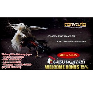 Tonyasia.com - Prediksi Pertandingan Sepak Bola Minggu, 28 Mei 2017 | AGEN BOLA ONLINE | JUDI BOLA | SITUS JUDI BOLA TERPERCAYA