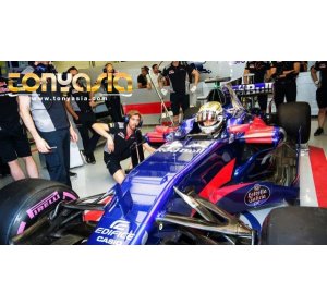 Toro Rosso boss Satisfied with Sean Performance | Sport Betting | Online Sport Betting